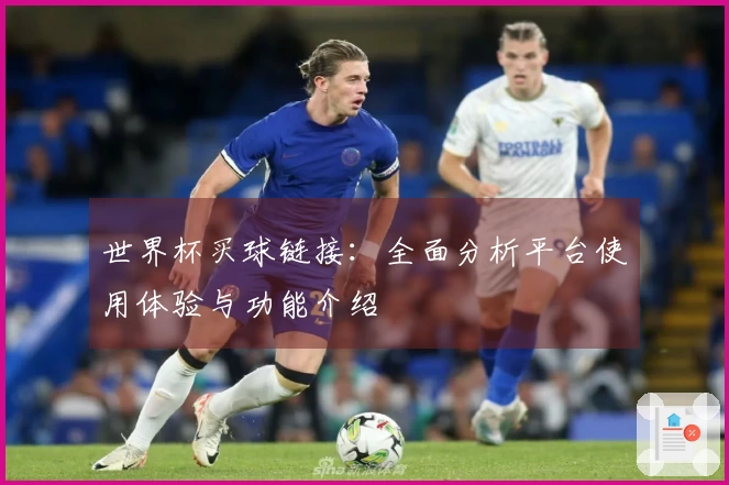 世界杯买球链接：全面分析平台使用体验与功能介绍