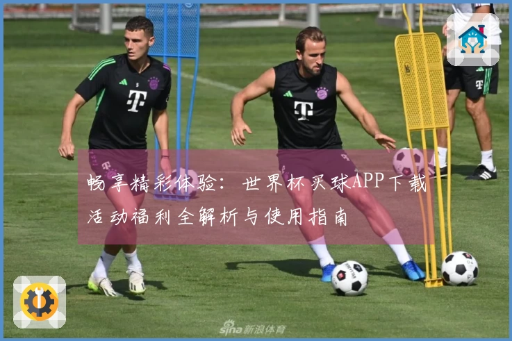 畅享精彩体验：世界杯买球APP下载活动福利全解析与使用指南
