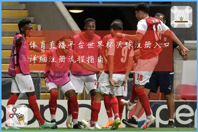 体育直播平台世界杯买球注册入口详细注册流程指南