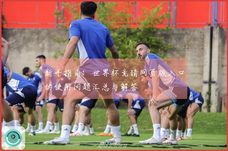 新手指南：世界杯竞猜网页版入口的使用问题汇总与解答