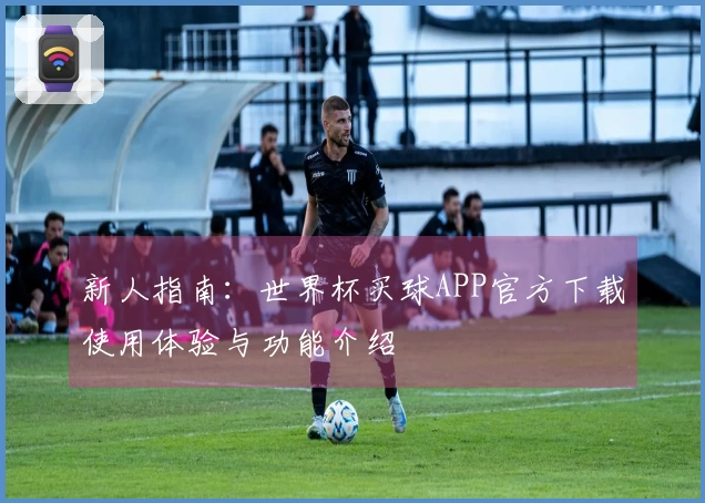 新人指南：世界杯买球APP官方下载使用体验与功能介绍