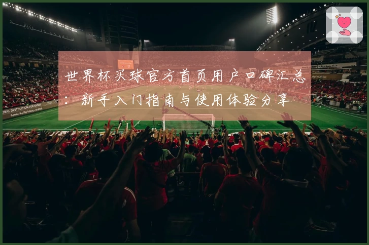 世界杯买球官方首页用户口碑汇总：新手入门指南与使用体验分享