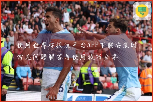 使用世界杯投注平台APP下载安装时常见问题解答与使用技巧分享